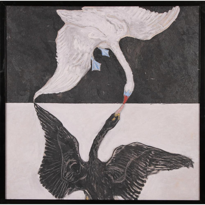 canvas art print of two swans white and black shades
