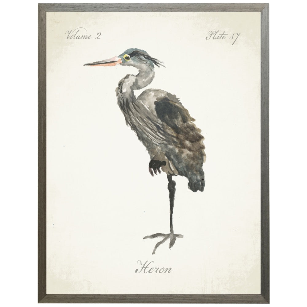 grey heron shadowbox framed wall art