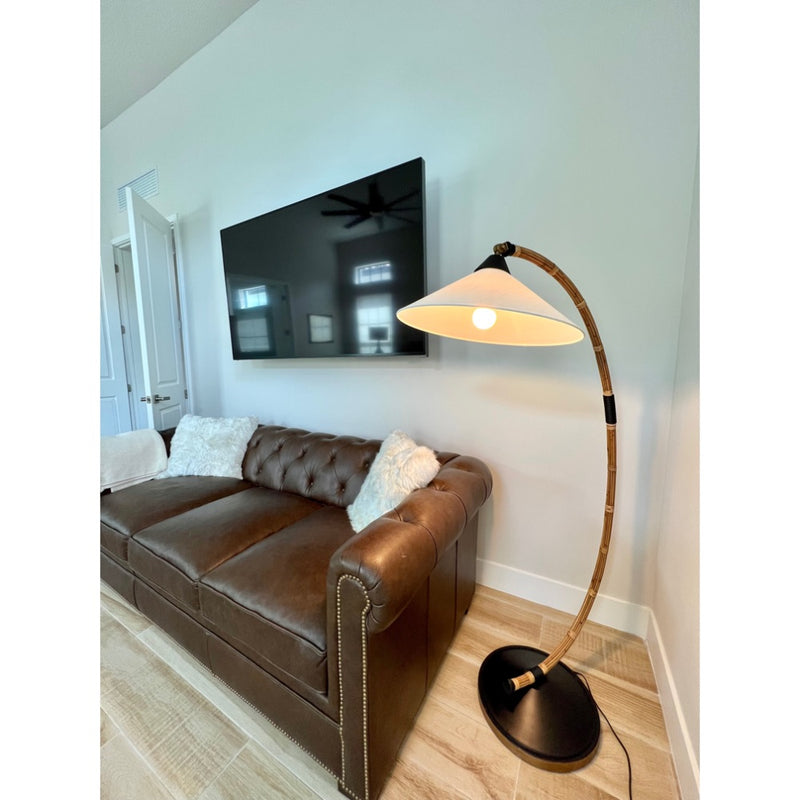 floor lamp brown couch tv lifestyle 