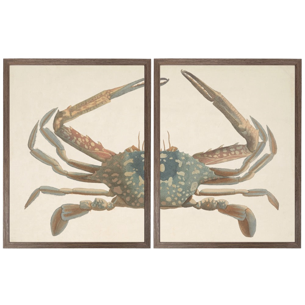 vintage bookplate crab diptych flat framed wall art