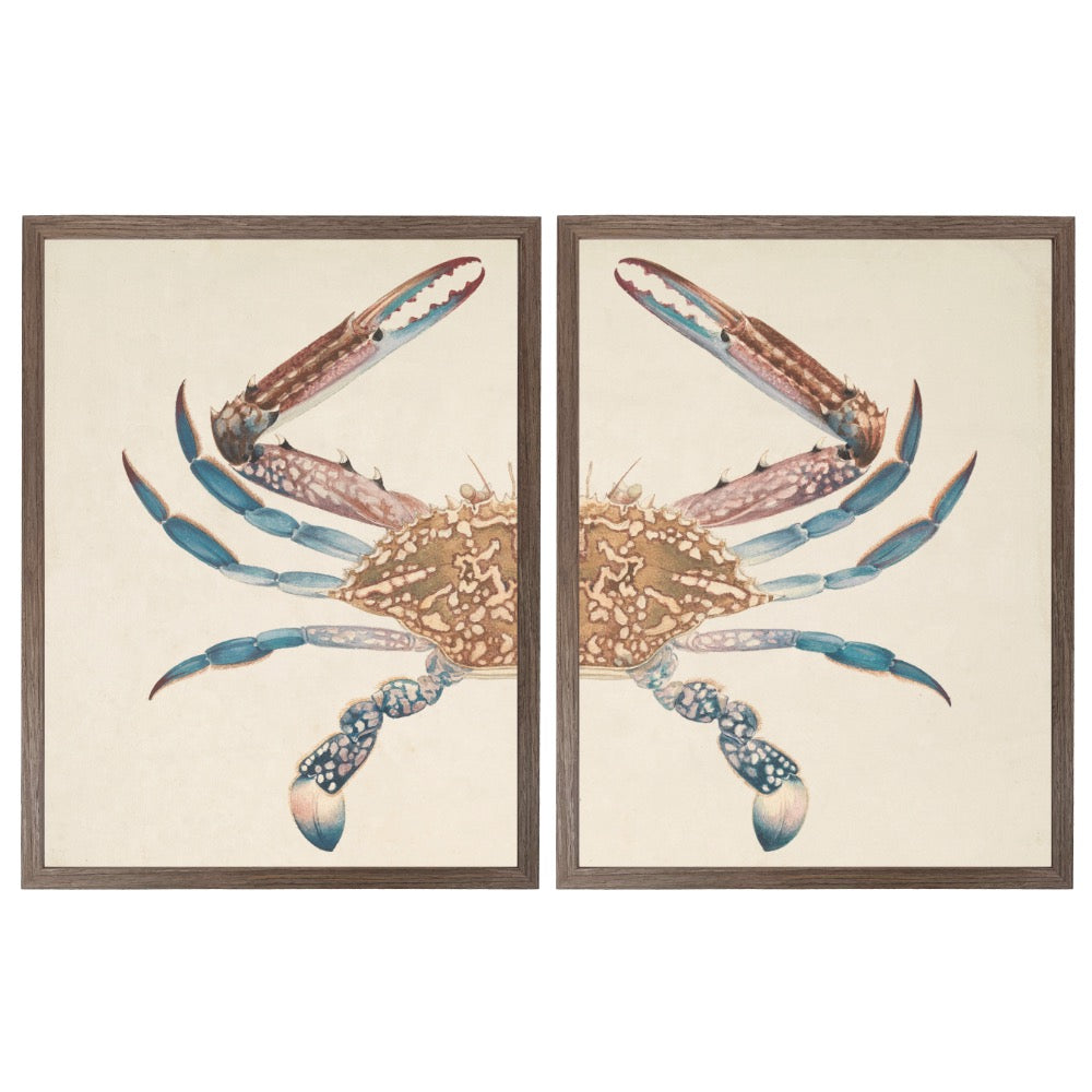 vintage bookplate crab diptych flat framed wall art