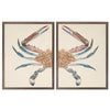 vintage bookplate crab diptych flat framed wall art