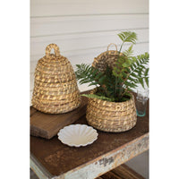 Woven baskets with plants on a rustic wooden surface
