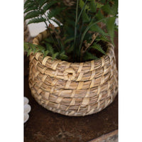 Woven basket with a plant on a wooden surface