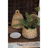 Woven baskets with plants and a decorative plate on a rustic surface.
