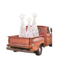 trees in truck