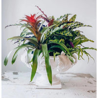 White vase acanthus leaves