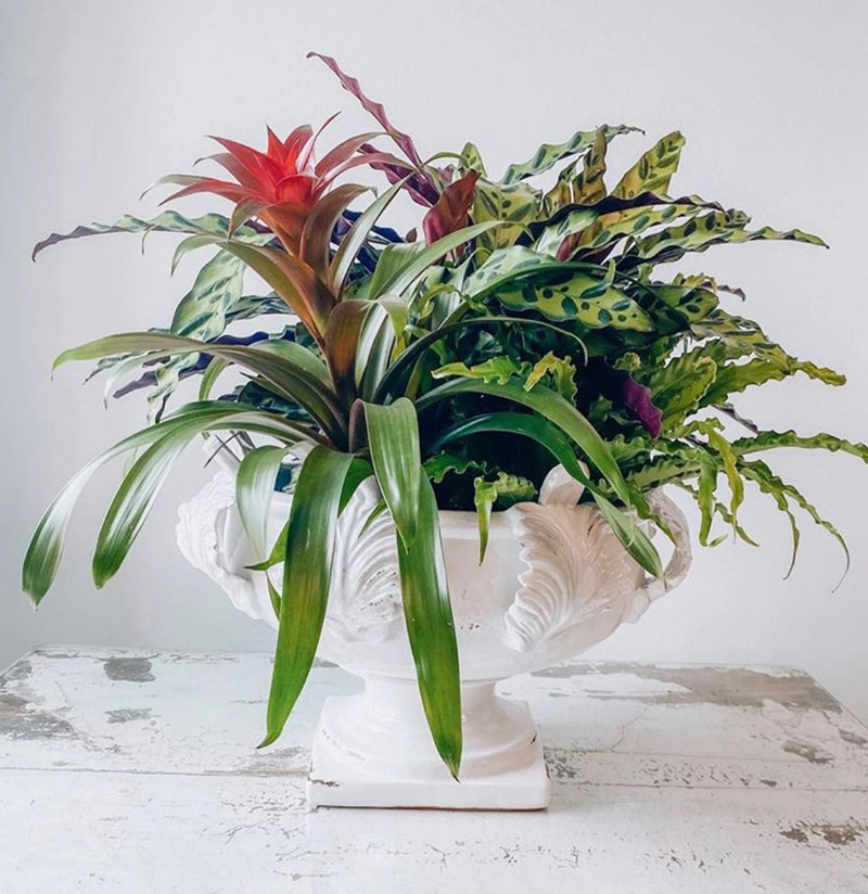 White vase acanthus leaves