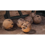 round teak ball decor natural