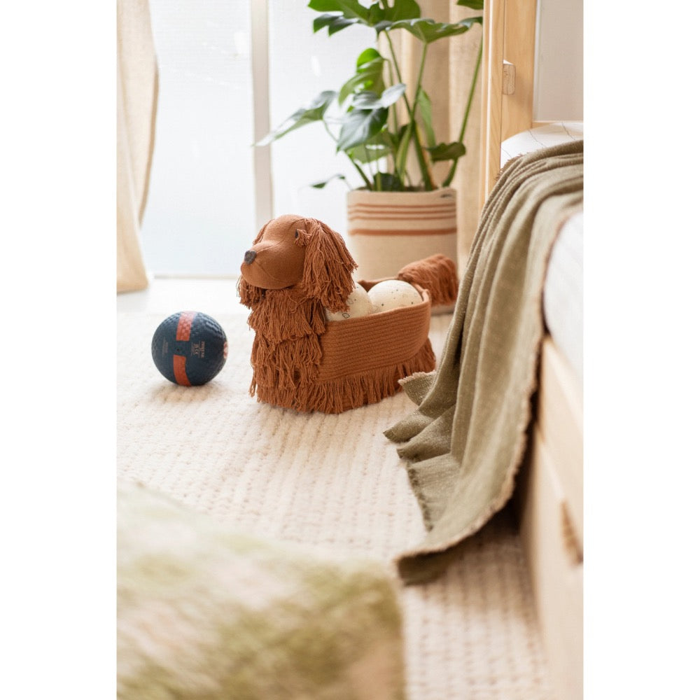 A brown plushwoven dog basket sitting  on a light beige rug in a softly lit room, with a plant, blanket, and ball nearby.