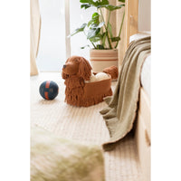 A brown plushwoven dog basket sitting  on a light beige rug in a softly lit room, with a plant, blanket, and ball nearby.