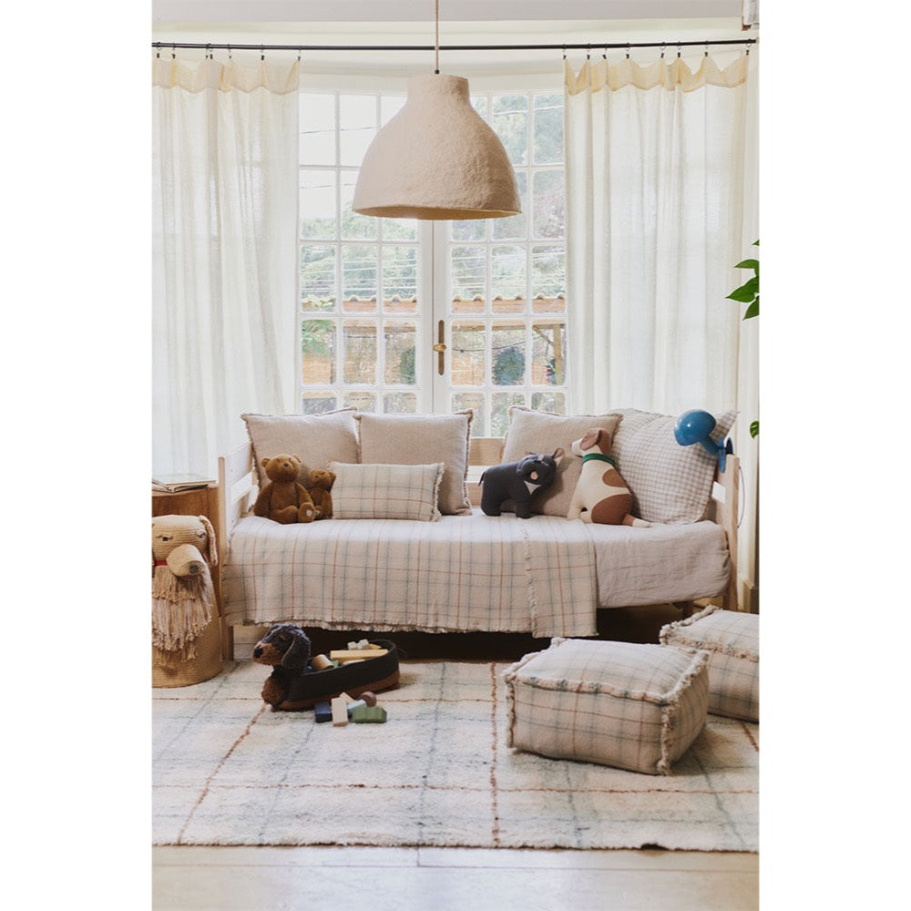 Cozy living room with a plaid sofa, cushions, and a dog lying on the floor.