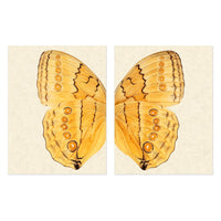 butterfly photography large yellow handmade paper