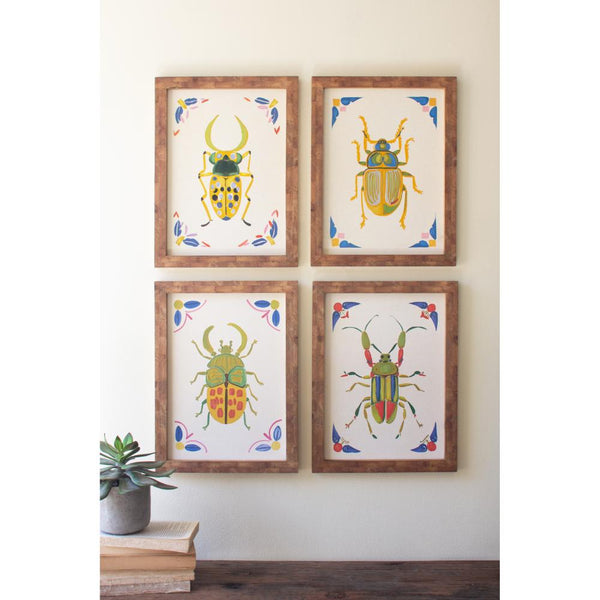 Four framed illustrations of beetles on a wall with a plant and books below.