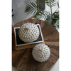 knobby white canisters set of two lids