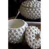 knobby white canisters set of two lids