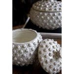 knobby white canisters set of two lids
