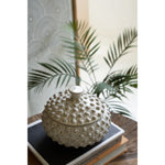 knobby white canisters set of two lids