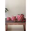 red white striped candy cane planter set holiday decor 