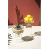 reversible glass compotes set of 2 glass