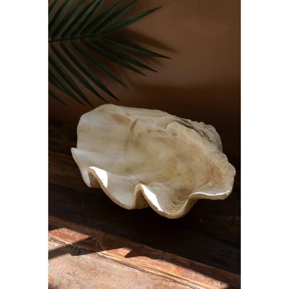 resin clam shell decor natural organic cream