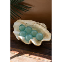 resin clam shell decor natural organic cream