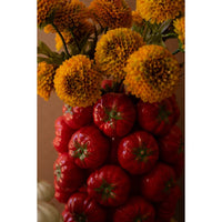 ceramic produce vase red tomato decorative 