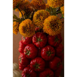 ceramic produce vase red tomato decorative 