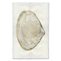 shell natural ocean coastal photography art handmade paper