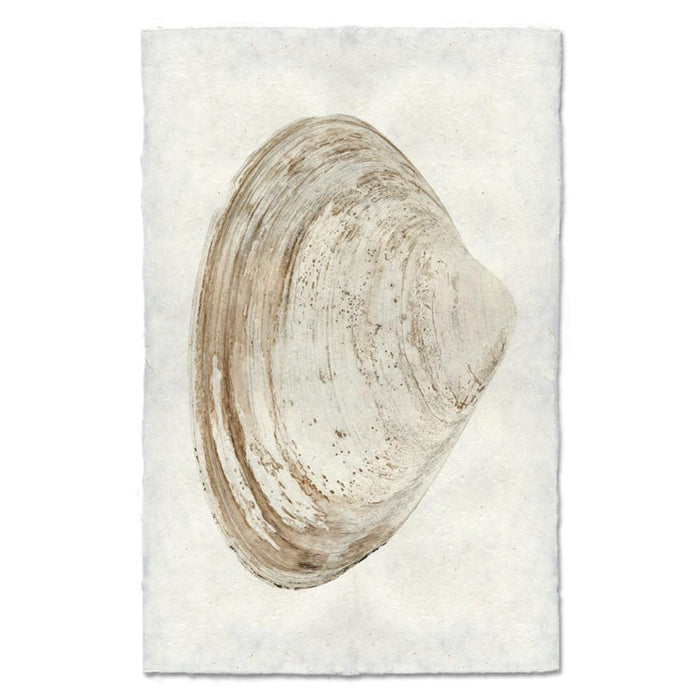 shell natural ocean coastal photography art handmade paper