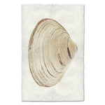 shell natural ocean coastal photography art handmade paper