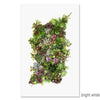 Grand Format Photography Art - Collective Succulents (paper + hanging options)