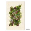 The Collective Succulents Grand Format Photography Art (paper + hanging options) by Barloga Studios showcases a vertical cluster of assorted succulents on a neutral backdrop with the word "natural" in the corner, perfectly complementing forest ferns wall art.