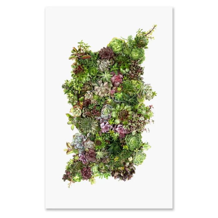 A white frame filled with a dense arrangement of various green and purple succulents, complemented by Barloga Studios' Collective Succulents Grand Format Photography Art (paper + hanging options).