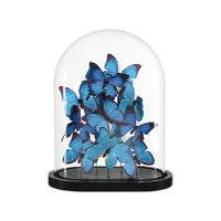 Glass dome with blue butterflies on a white background