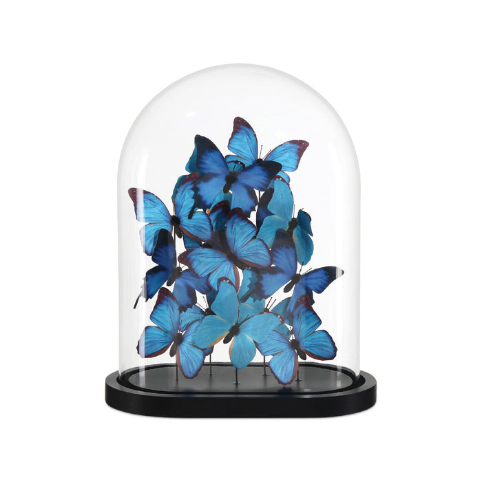 Glass dome with blue butterflies on a white background