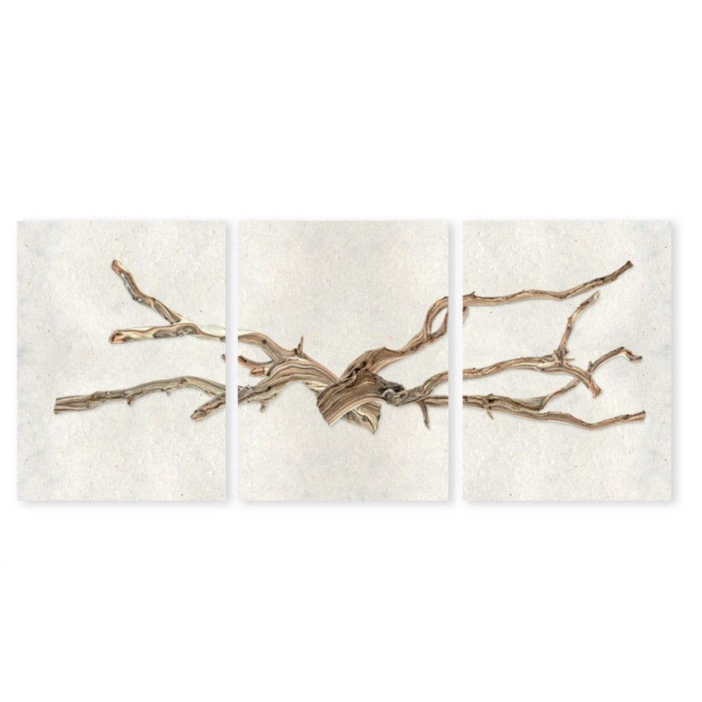 photography wall art drift trilogy