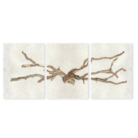 photography wall art drift trilogy