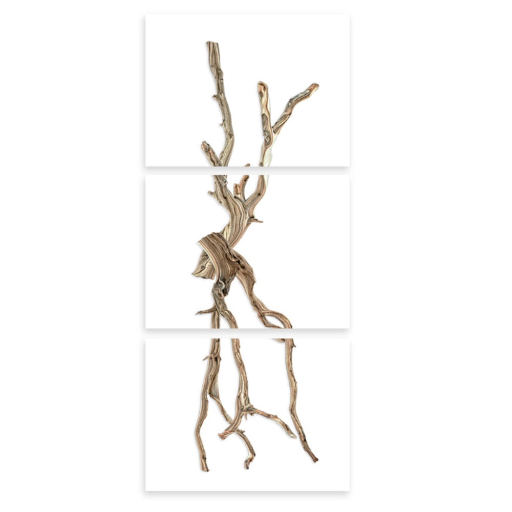 photography wall art drift trilogy