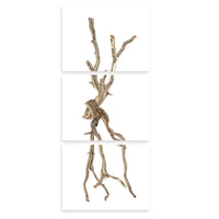 photography wall art drift trilogy