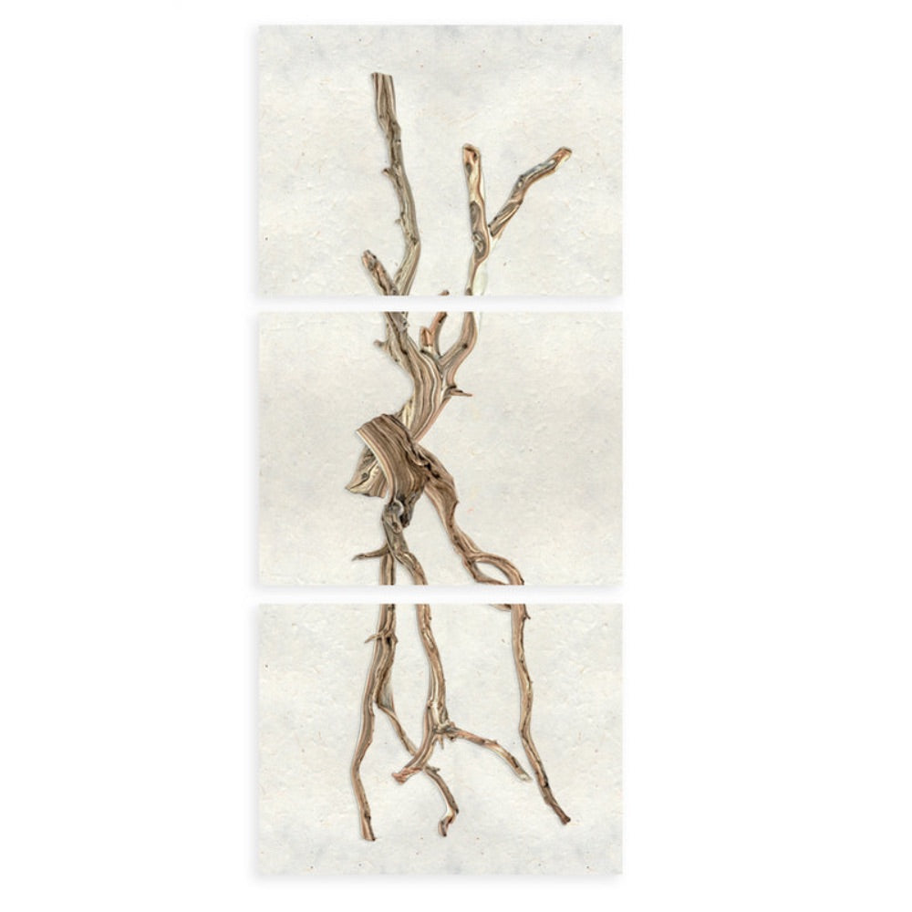 photography wall art drift trilogy