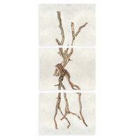 photography wall art drift trilogy