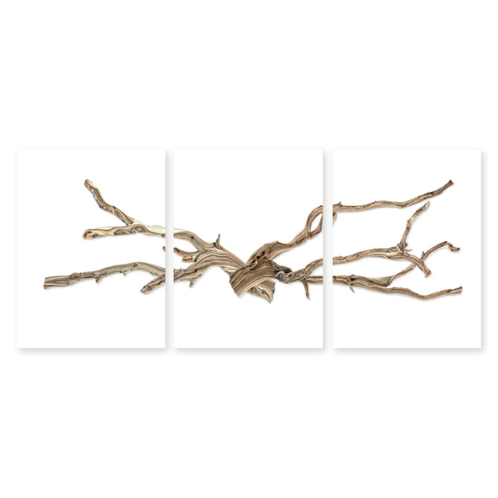 photography wall art drift trilogy