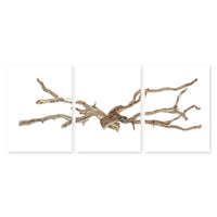 photography wall art drift trilogy
