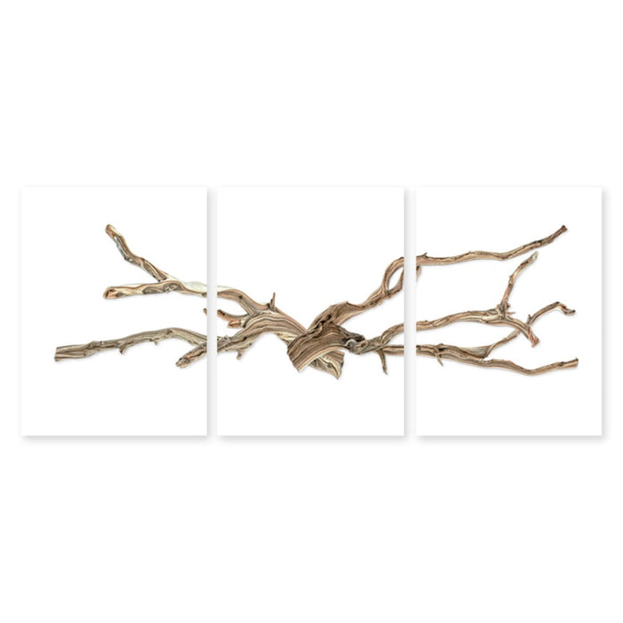 photography wall art drift trilogy
