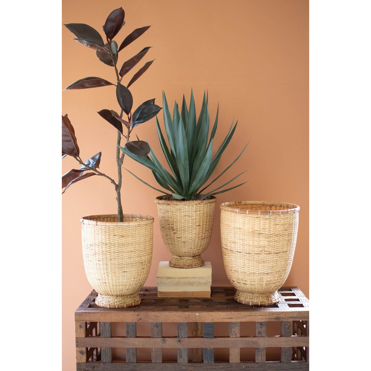 Three potted plants in woven baskets on a wooden crate against an orange wall.