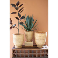 Three potted plants in woven baskets on a wooden crate against an orange wall.