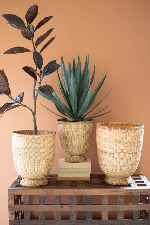 Three potted plants in woven baskets on a wooden crate against an orange wall.