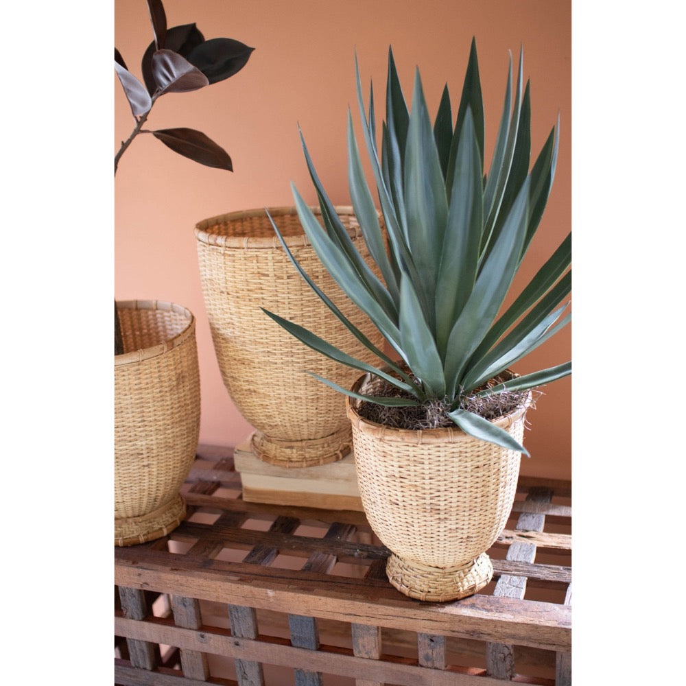 Potted plant in a woven pot on a wooden surface with a pinkish-brown background