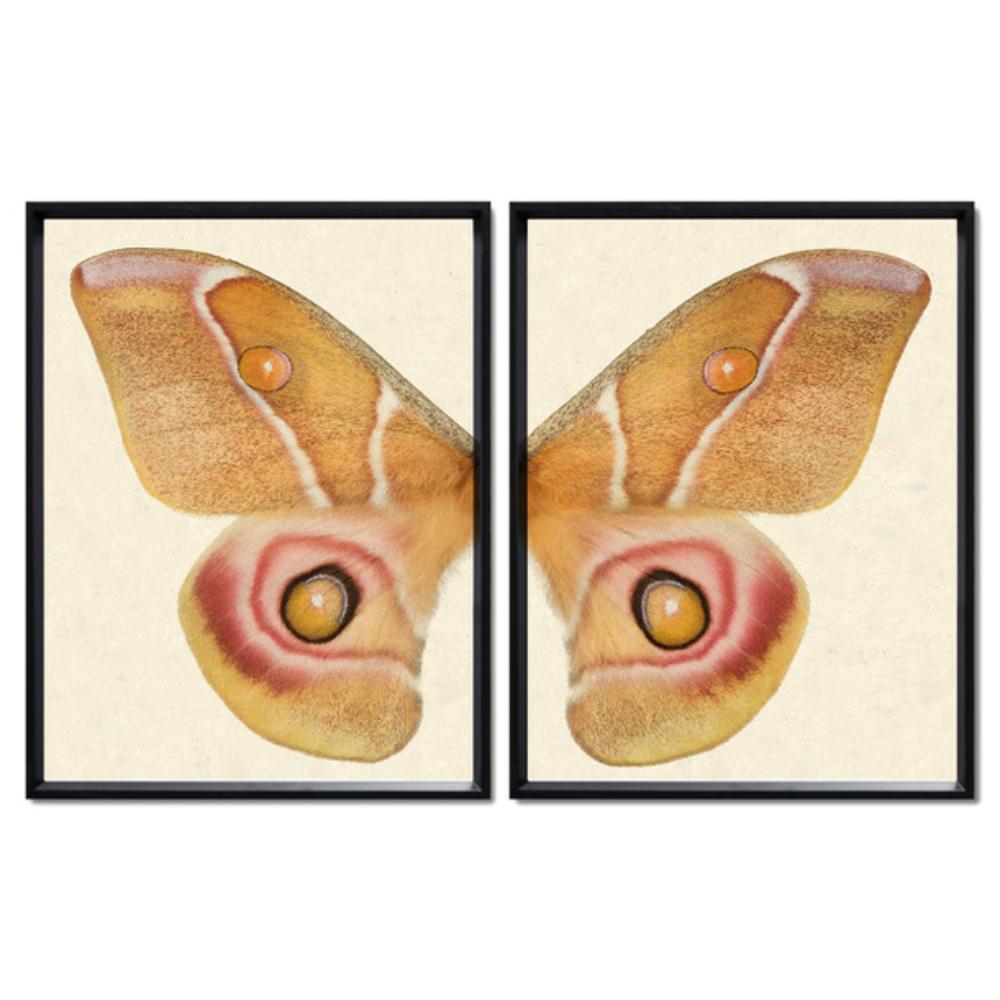 butterfly papilionoidea photography large yellow handmade paper black frame